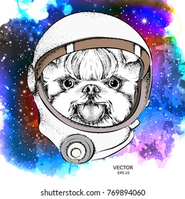 a cartoon dog in an astronaut's space suit. Character in space. Vector illustration