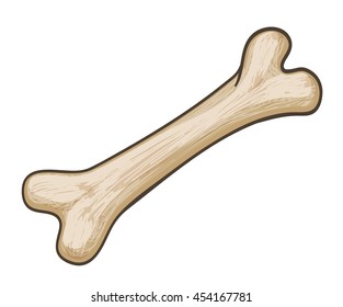 cartoon dog bone on white. vector illustration