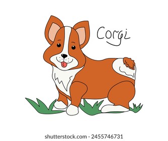 Caricatura perro raza corgi. Bozal de un lindo cachorro divertido. Diseño para la promoción de productos, alimentos para mascotas, dibujo. Ilustración vectorial sobre fondo aislado.