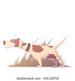 Cartoon dog breeds. Vector collection.
