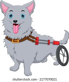 Cartoon Dog Broken Leg And Using A Wheel