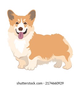 Cartoon dog Corgi flat icon. Happy pet vector illustration. Basenji, Dachshund, malamute, Samoyed. Mammals and animals concept