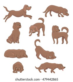 cartoon dog in different poses on white. funny pet sitting, standing, running, waiting, lying, playing. vector illustration