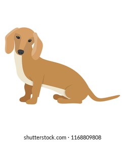 
Cartoon dog flat icon design
