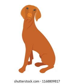 
Cartoon dog flat icon design
