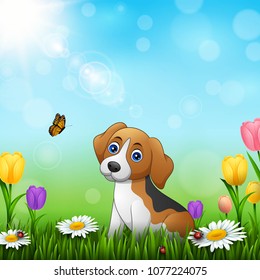 Cartoon dog in the grass background