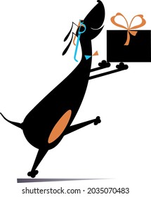Cartoon dog holds a present box with ribbon illustration. 
Funny dachshund with a gift celebrating birthday or important event isolated on white
