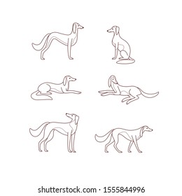 Cartoon dog icon set. Different poses of greyhound. Vector illustration for prints, clothing, packaging, stickers.