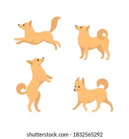 Cartoon dog icon set. Different poses of schipperke. Vector illustration for prints, clothing, packaging, stickers.