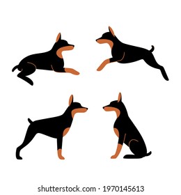 Cartoon dog icon set. Different poses of doberman. Vector stylized illustration for prints, clothing, packaging, stickers.