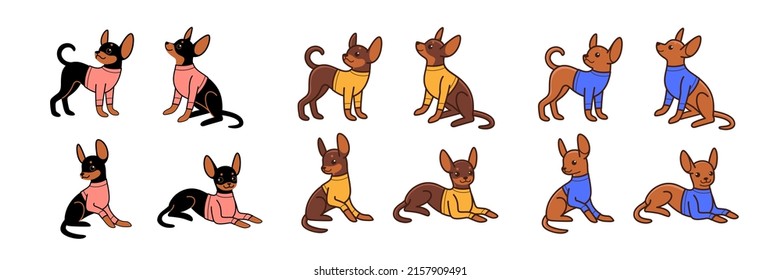 Cartoon dog icon set. Different poses of toy terrier with pullover. Vector illustration for prints, clothing, packaging, stickers.