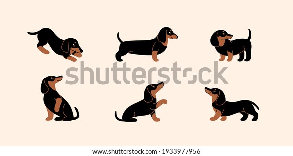 Cartoon dog icon\
set. Different poses of dachshund. Vector illustration for prints,\
clothing, packaging,\
stickers.
