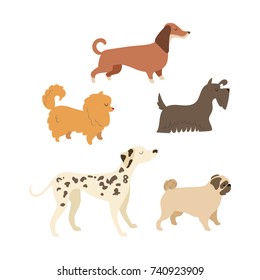Cartoon dog illustration collection. 2018 dog symbol 
