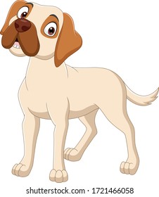 Cartoon dog isolated on white background