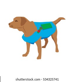 Cartoon dog labrador retriver rescue. Vector illustration