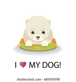 Cartoon dog lies on the pillow in  flat style isolated on a white background. Adopt dog concept