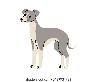 cartoon Dog in motion. Different canine breeds. Active puppies doberman, dalmatian, pomeranian, sheltie, italian greyhound, yorkshire terrier, corgi. Flat vector illustration