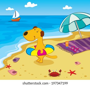 Cartoon Dog on the Beach