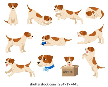 Cartoon dog. Playful beagle pup pet sits, runs, sleeps and plays with ball. Good boy vector illustration set of pup beagle, playful cartoon puppy, animal doggy