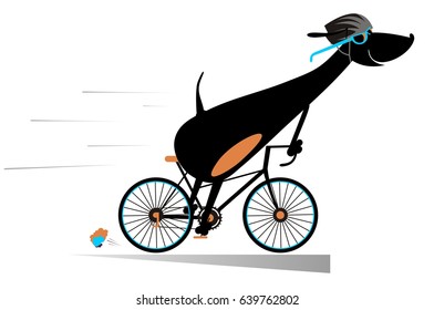 Cartoon dog rides a bike isolated. Smiling dog rides a bike and looks healthy and happy
