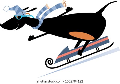 Cartoon dog rids on sled illustration. Cartoon dachshund rides on sledge isolated on white illustration
