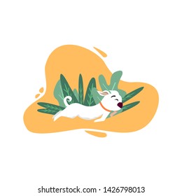 Cartoon Dog Runs along path against Background of vegetation with noises. Vector Illustration with place for Text. 