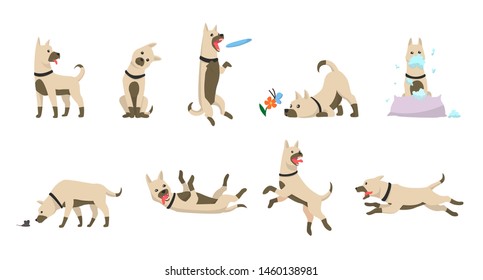 Cartoon dog set. Dogs tricks icons and action training digging dirt eating pet food jumping wiggle sleeping running and barking brown happy cute animal poses vector isolated symbol illustration.