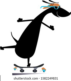 Cartoon dog a skateboarder isolated. Cartoon dachshund rides on the skateboard isolated on white
