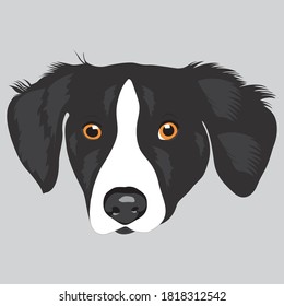 Cartoon dog vector art illustration