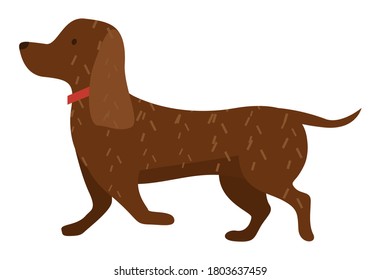 Cartoon dog vector illustration of cute purebred dachshund isolated on white background side view. Brown puppy runs along the road. Pet in a red collar for a walk. Domestic animal adorable doggy svg