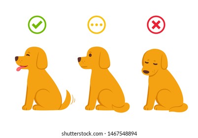 Cartoon Hund mit ja, jetzt und vielleicht Symbole, falsch und richtig. Hund in verschiedenen Zuständen: aufgeregt, neutral und traurig, mit guten (grünen) und schlechten (roten) Symbolen. Einzige Vektorgrafik.