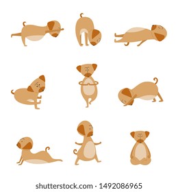 Cartoon dog in yoga pose set- cute flat pet animal meditating, stretching and training isolated on white background, funny character doing a workout - vector illustration