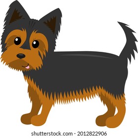 cartoon dog, yorkshire terrier, flat vector ilustration isolated on white background for children