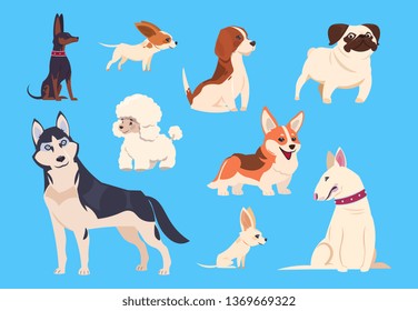 Cartoon dogs breeds. Corgi and husky, poodle and beagle, pug and chihuahua, bull terrier. Comic pet animals vector characters isolated