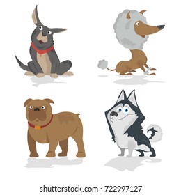 Cartoon dogs characters different breads doggy puppy illustration. Furry human friends cute animals
