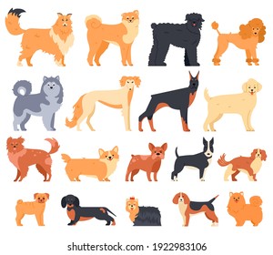 Cartoon dogs. Cute sitting puppies set of various breed. Doberman, malamute and labrador, poodle and corgi isolated pets vector characters. Group of pedigree domestic animals isolated