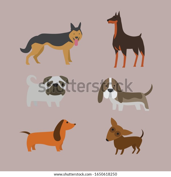 Cartoon Dogs Different Breeds Sizes Stock Vector (Royalty Free ...