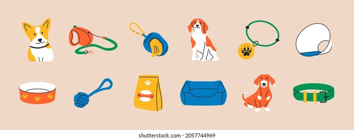 Cartoon dogs and equipment. Cute doodle shiba inu, dachshund and beagle home pets with supplies, toys, bed, bowl, food and leash. Vector set