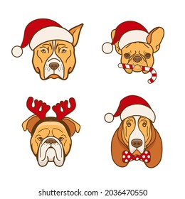 Cartoon dogs heads of different breeds in santa claus hats. French Bulldog, Pitbull, English Bulldog and Basset with Christmas accessories. Vector illustration