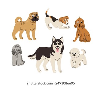 cartoon Dogs in motion set. Different canine breeds. Active puppies siberian husky, jack russell terrier, cocker spaniel, miniature poodle, shar pei, bishon frize. Flat vector illustration