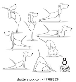 Perros de dibujos animados muestran 8 poses de yoga. Vector