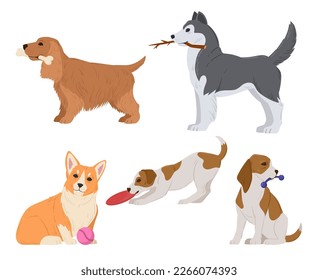 Cartoon dogs with toys. Active playing corgi, husky, spaniel and beagle puppies, cute pets flat vector illustration set