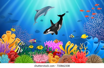 Cartoon Dolphin With Killer Whale Coral Reef Underwater In Ocean. Vector Illustration