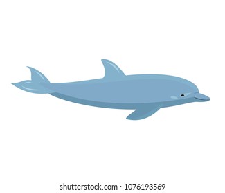 Cartoon dolphin on white background. Vector illustration.