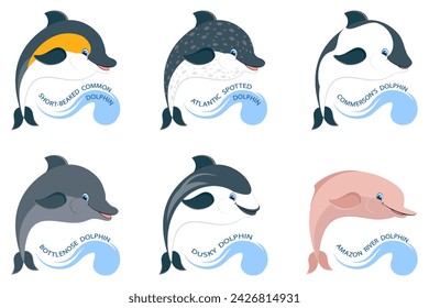 Cartoon dolphins set. Labeled types of dolphins and swimming mammals species collection. Bottlenose, amazon and atlantic examples vector illustration.