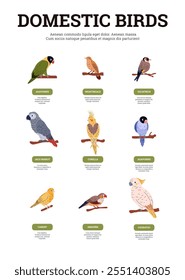 Cartoon Domestic birds set with titles vector poster. Agapornis, Amadina, Canary, Corella, Jaco sit on twigs. Decorative exotic pet parrot with colorful plumage. Goldfinch, Cockatoo, Nightingale