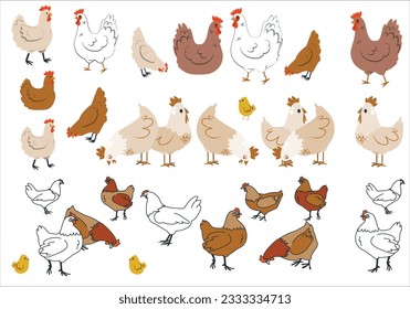 Cartoon domestic chicken. Various chickens set. Cartoon hens and roosters walking, standing. Funny domestic birds, farm and poultry concept. 2033