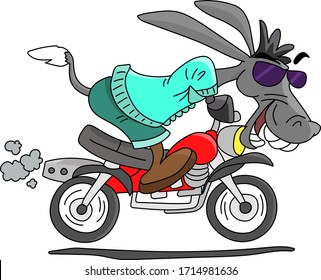 Cartoon donkey driving a  motorbike vector illustration