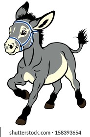 cartoon donkey for little kids.children illustration isolated on white background