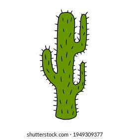 Cartoon doodle cactus isolated on white background. Cute cartoon floral element.